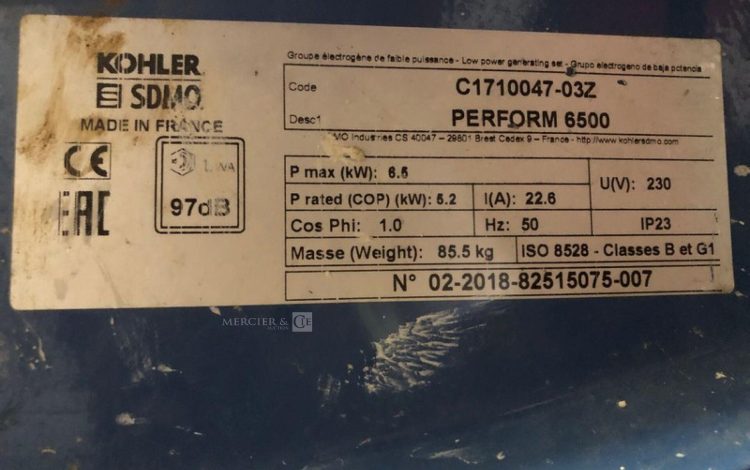 SDMO PERFORM 6500  GRO011310