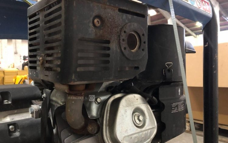 SDMO PERFORM 6500  GRO011310