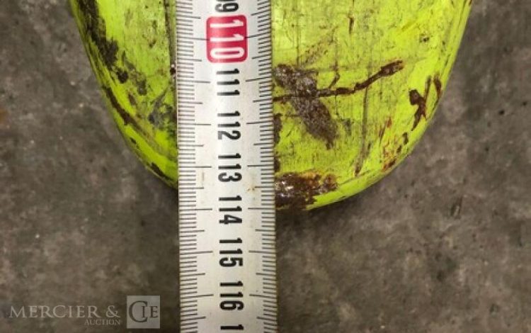 LIFTER GS 25S4 RA  TRA005072