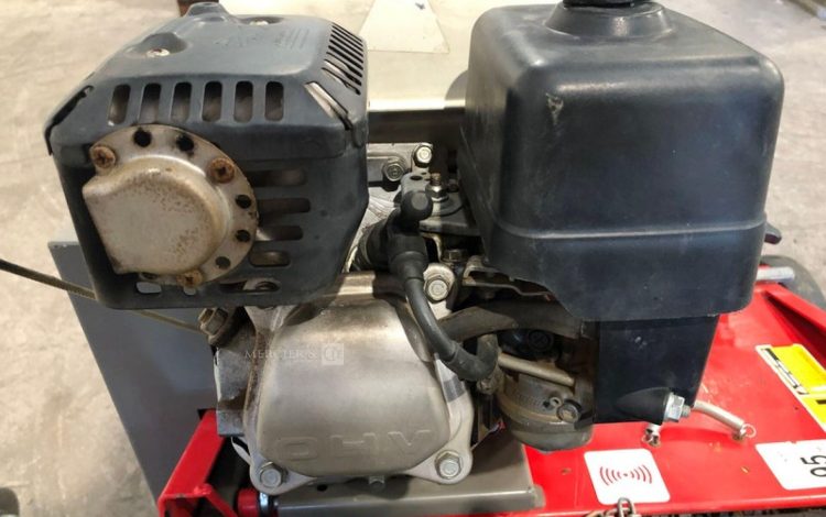 ELIET ELIET 501  49MAM22026