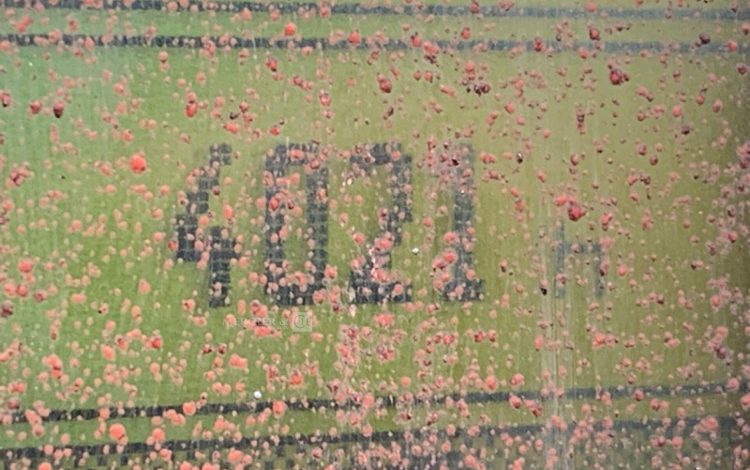 MANITOU 160ATJ  SLM0940