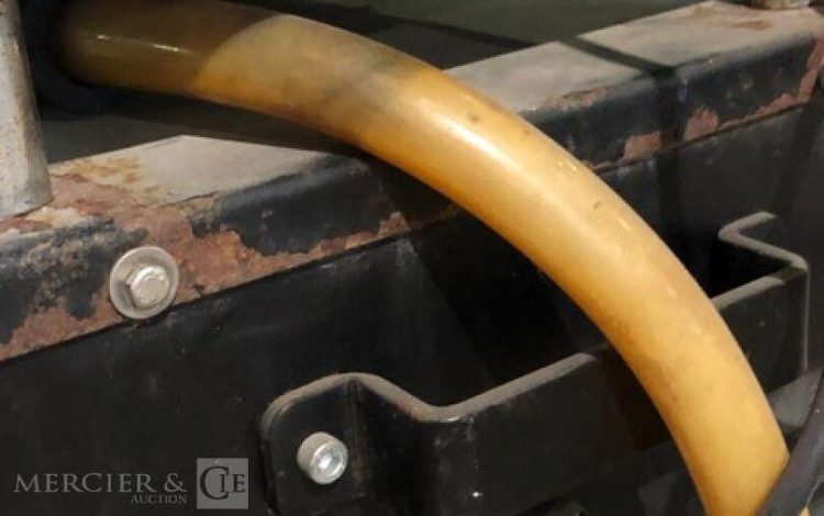 SANTOEMMA SABRINA – FOAM  T14022026