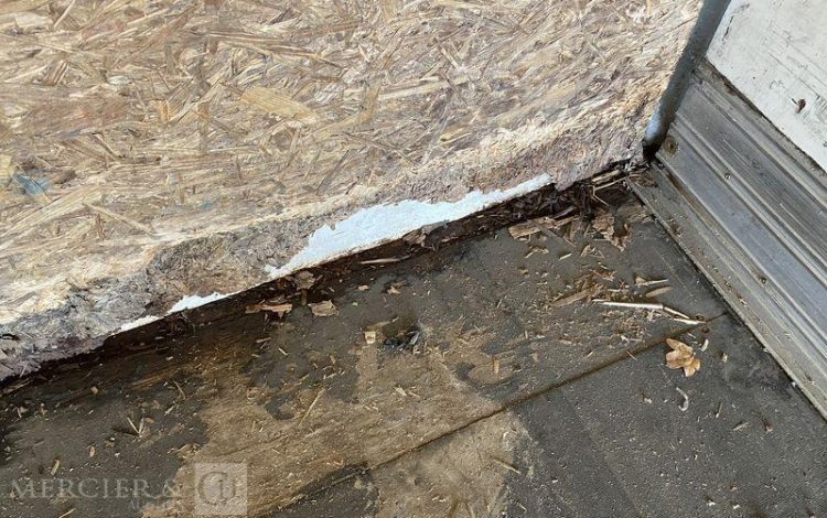 RENAULT MIDLUM  CX-286-DM