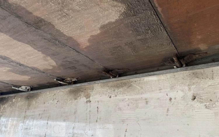 RENAULT MIDLUM  CX-286-DM