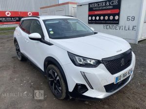 PEUGEOT 2008 110CH ALLURE BUSINESS BLANC GD-966-HZ