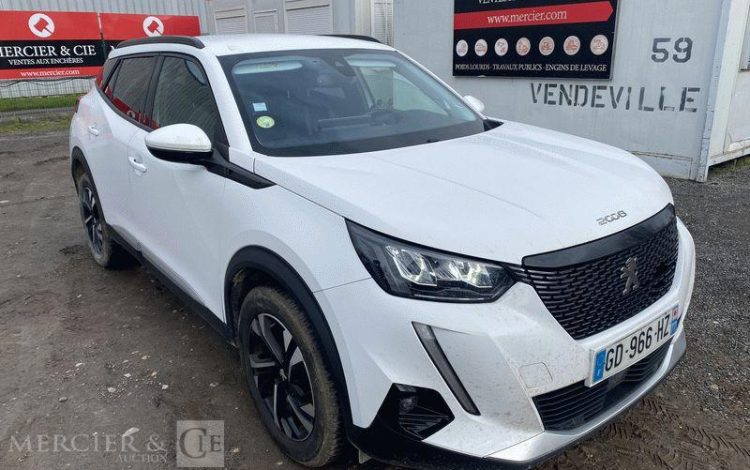 PEUGEOT 2008 110CH ALLURE BUSINESS BLANC GD-966-HZ
