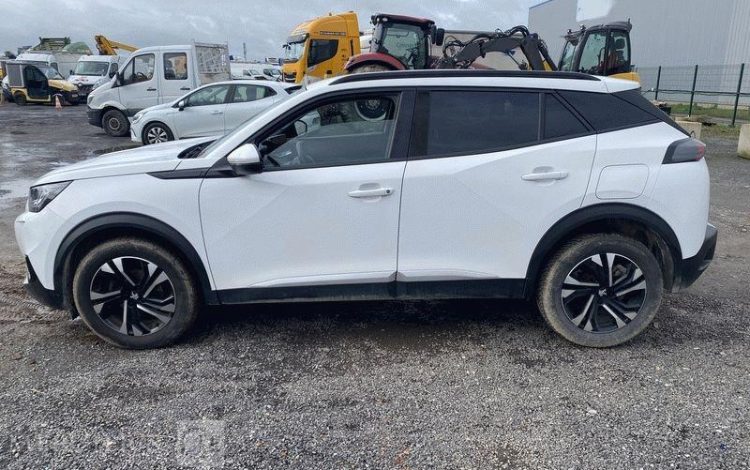 PEUGEOT 2008 110CH ALLURE BUSINESS BLANC GD-966-HZ