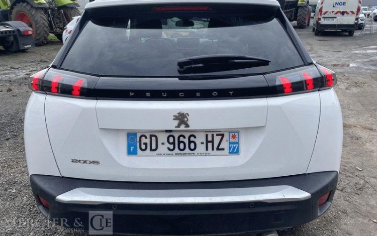 PEUGEOT 2008 110CH ALLURE BUSINESS BLANC GD-966-HZ