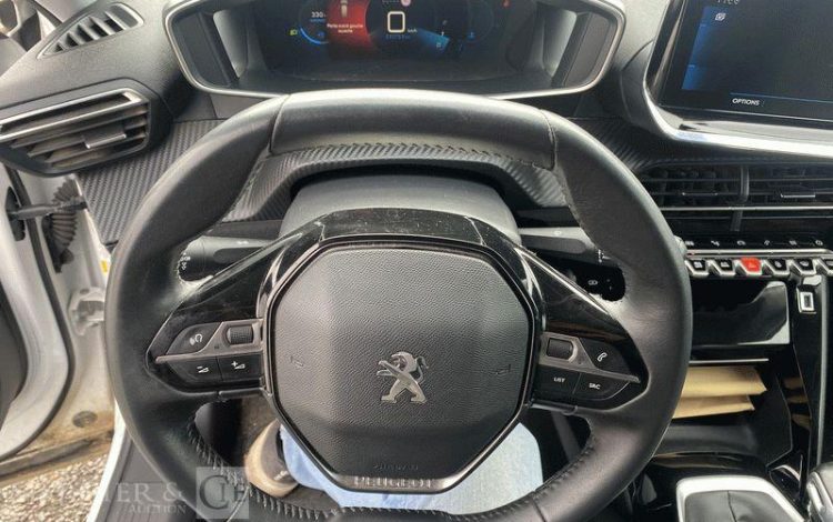 PEUGEOT 2008 110CH ALLURE BUSINESS BLANC GD-966-HZ