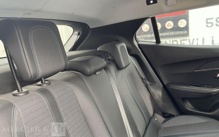 PEUGEOT 2008 110CH ALLURE BUSINESS BLANC GD-966-HZ