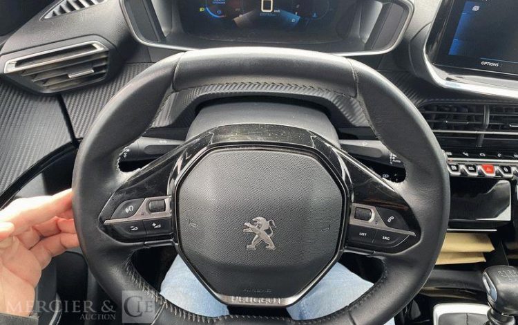 PEUGEOT 2008 110CH ALLURE BUSINESS BLANC GD-966-HZ