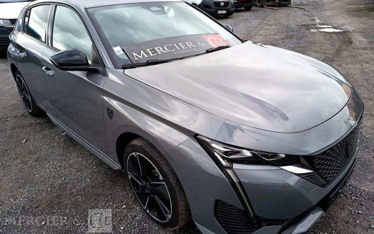 PEUGEOT E-308 FIRST GRIS GR-669-PC