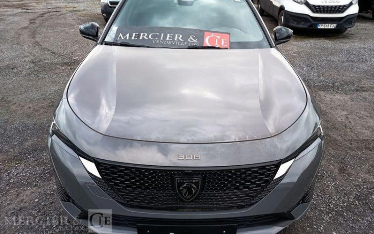 PEUGEOT E-308 FIRST GRIS GR-669-PC