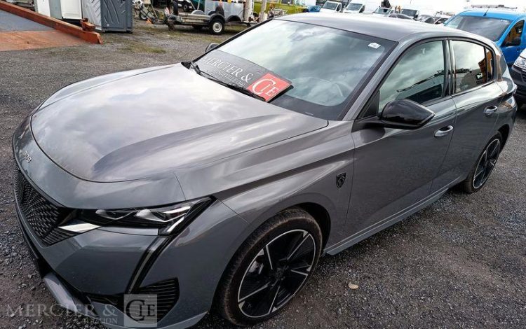 PEUGEOT E-308 FIRST GRIS GR-669-PC