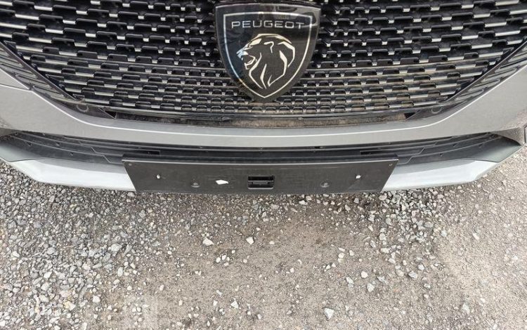 PEUGEOT E-308 FIRST GRIS GR-669-PC