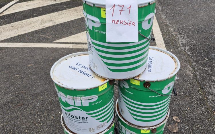 autre Lot de 5 sceaux de revêtement semi-épais souple acrylique-polysiloxane , ton pie  162