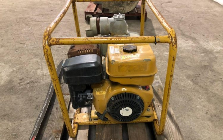 ROBIN PUMP PTX301T  POM010075