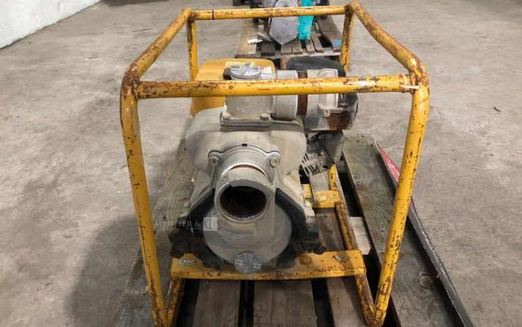 ROBIN PUMP PTX301T  POM010075