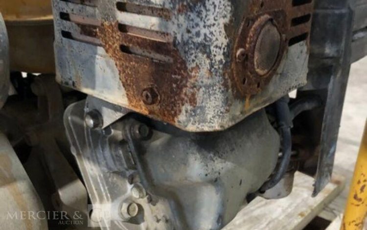 ROBIN PUMP PTX301T  POM010075