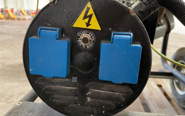 SDMO PERFORM 4500  GRO010828