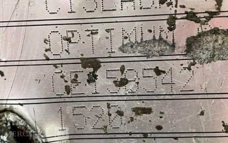 HAULOTTE OPTIMUM 8  210402