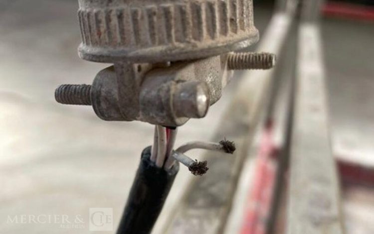 HAULOTTE OPTIMUM 8  210402