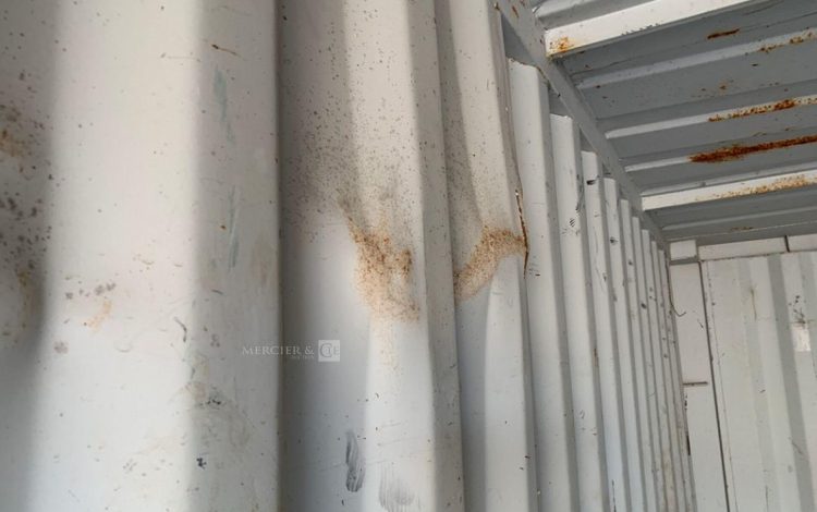 CONTAINEX LC20&Prime;  60551284