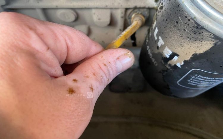 WEYCOR AR 75ES  120149