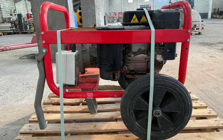 WORMS EXPERT 5010X  13MAM32026