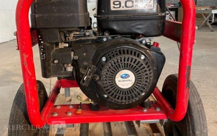 WORMS EXPERT 5010X  13MAM32026