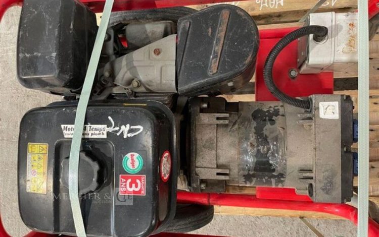 WORMS EXPERT 5010X  13MAM32026