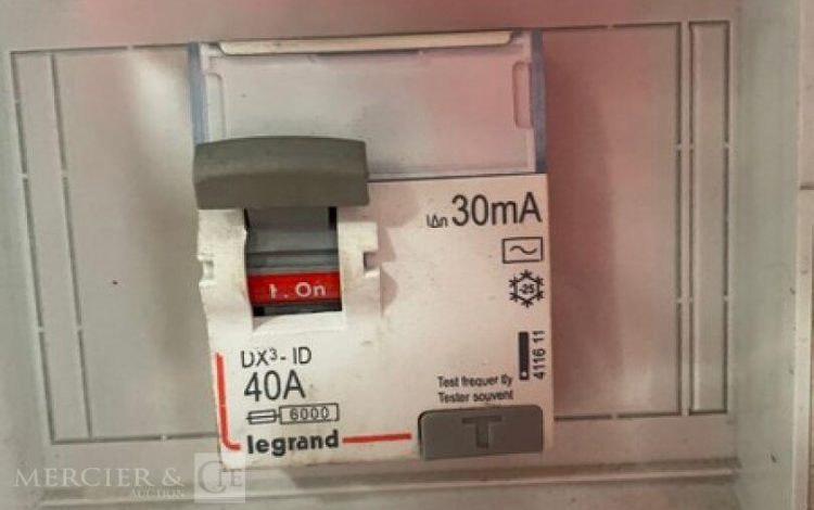 WORMS EXPERT 5010X  13MAM32026