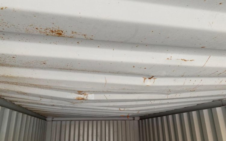 CONTAINEX LC20&Prime;  60552685