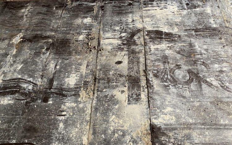 CONTAINEX LC20&Prime;  60552685