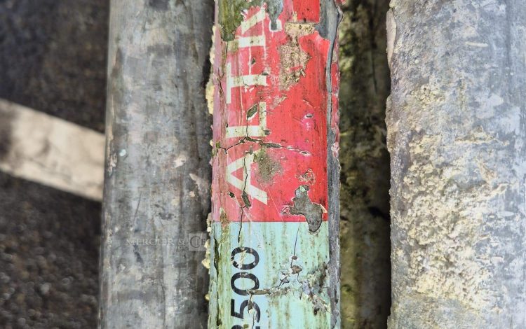 autre Lot de 44 lisses d&rsquo;échafaudage de 2,5m marque ALTRAD  202