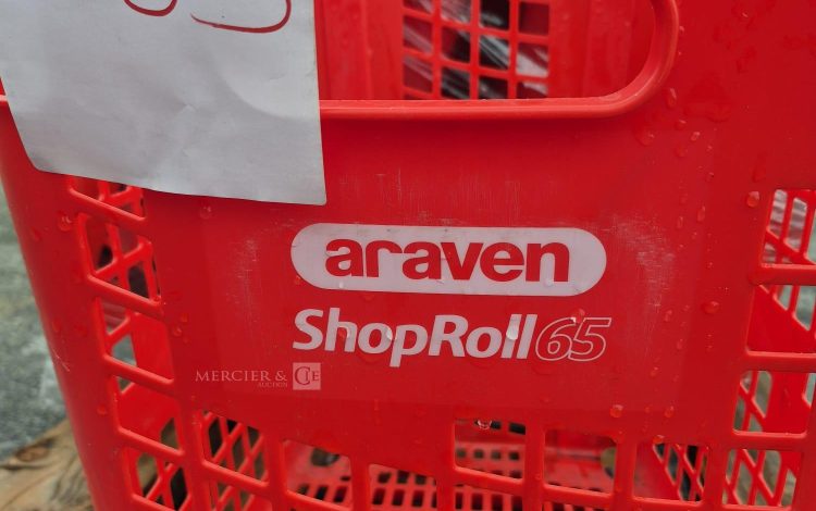 autre Lot de 40 paniers à roulettes SHOPROLL , 65L dimensions : 390x540xh875mm  282