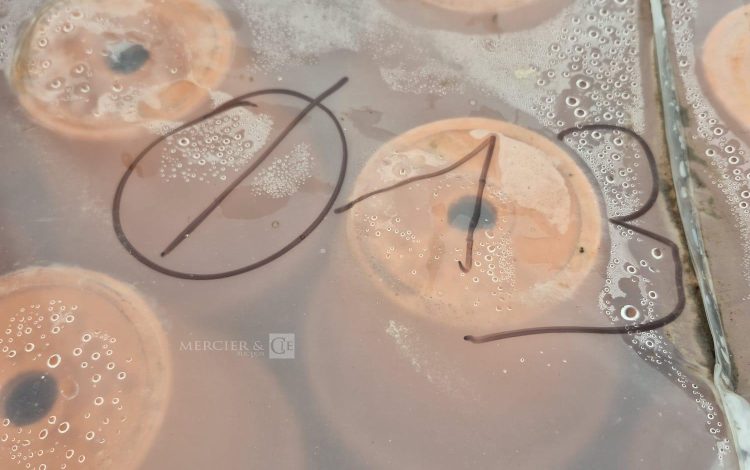 autre Lot d&rsquo;environ 1600 pot en terre cuite diamètre 13 x 12cm  283