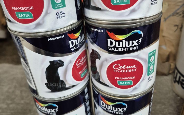 autre Lot de 12 pots de Peinture Dulux Valentine  Crème de Couleur, teinte Framboise,  332