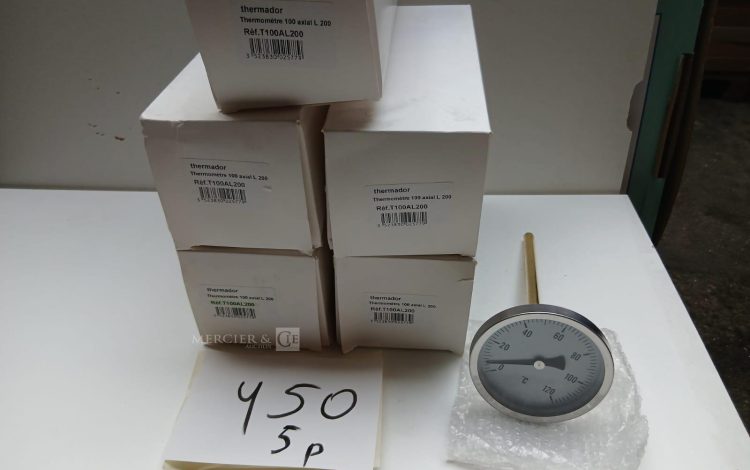 autre Lot de 5 thermomètre 100 axial L200 Réf : T100AL200  372