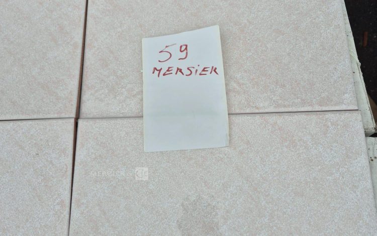 autre Lot d&rsquo;environ 40 m2 de faïence de 20cm x 33cm Tess. Rosa  48