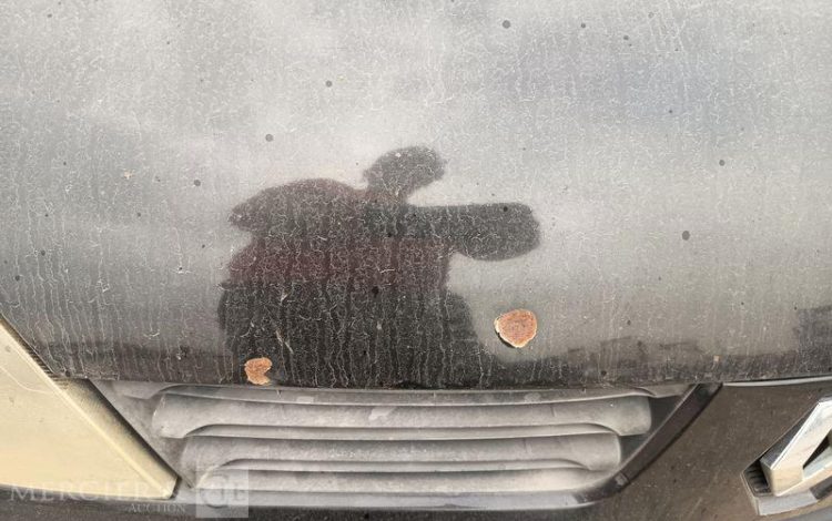 RENAULT CLIO II SOCIETE PHASE 2 1.5 dCi 68 CV – DIESEL – 305155 KMS – ANNEE 2006 NOIR BX-462-LK