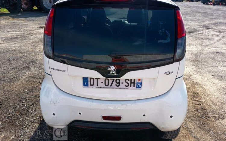 PEUGEOT ION ACTIVE  DT-079-SH