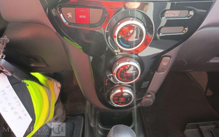 PEUGEOT ION ACTIVE  DT-079-SH