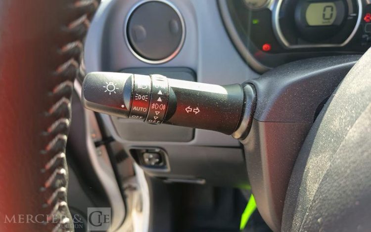 PEUGEOT ION ACTIVE  DT-079-SH