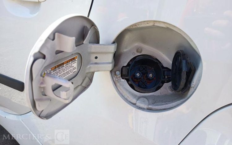 PEUGEOT ION ACTIVE  DT-079-SH