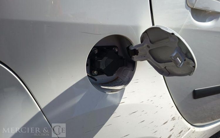 PEUGEOT ION ACTIVE  DT-079-SH