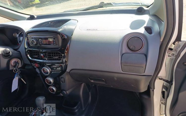 PEUGEOT ION ACTIVE  DT-079-SH