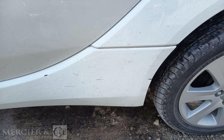 PEUGEOT ION ACTIVE  DT-079-SH