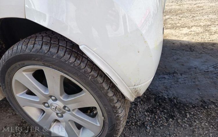 PEUGEOT ION ACTIVE  DT-079-SH