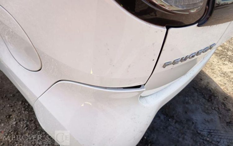 PEUGEOT ION ACTIVE  DT-079-SH